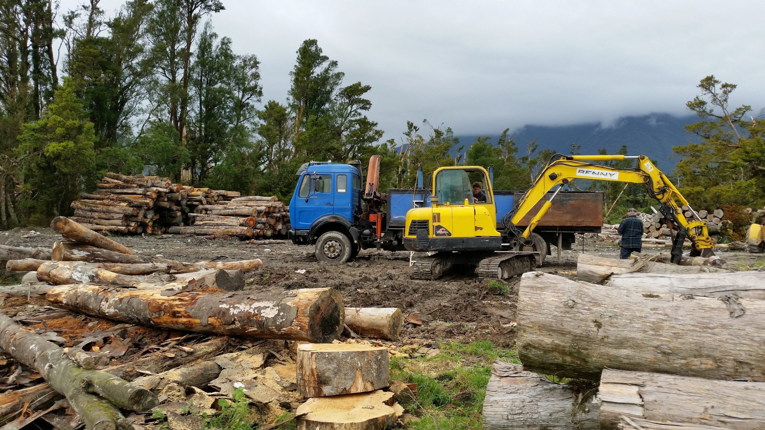 Bluey, the customised 1978 Mercedes, Benny the little digger/log loader with thumb, and Lulu the Skidder waiting for smoko to end.